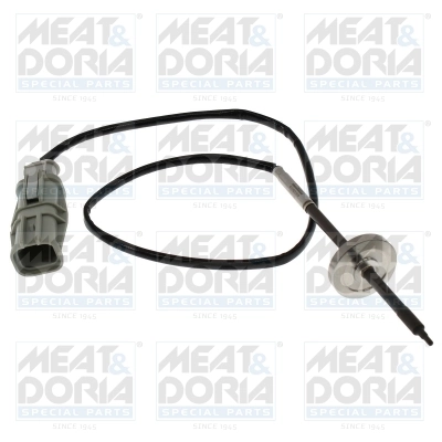 Sensor, exhaust gas temperature